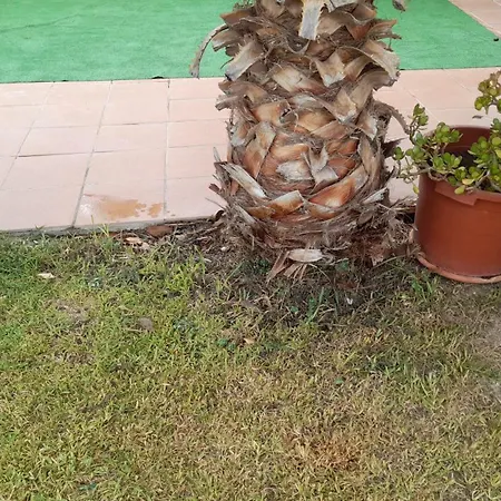 Montana Y Playa Homestay szállás El Vendrell